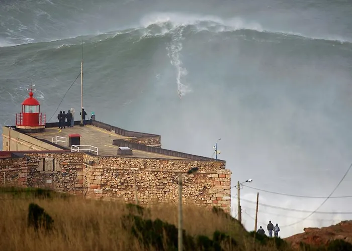 Casa Ameixa * Alcobaça